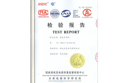 箱式開閉所檢驗(yàn)報(bào)告