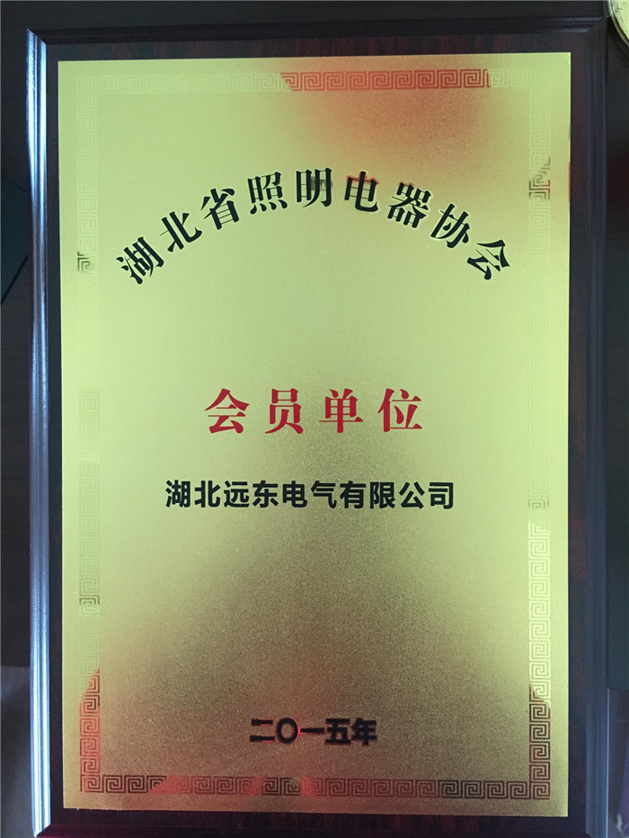 遠(yuǎn)東電氣——湖北省照明電器協(xié)會(huì)會(huì)員單位 遠(yuǎn)東電氣——湖北省照明電器協(xié)會(huì)會(huì)員單位