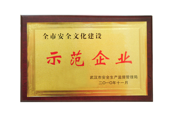 全市安全文化建設(shè) 示范企業(yè) 全市安全文化建設(shè) 示范企業(yè)
