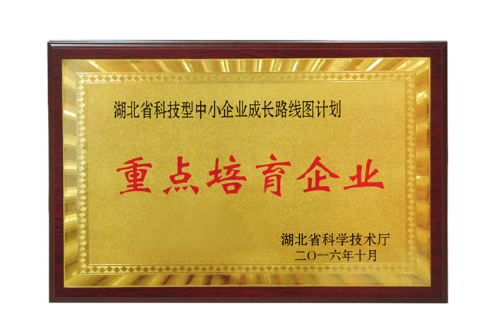 湖北省科技型中小企業(yè)成長路線圖計(jì)劃 重點(diǎn)培育企業(yè) 湖北省科技型中小企業(yè)成長路線圖計(jì)劃 重點(diǎn)培育企業(yè)